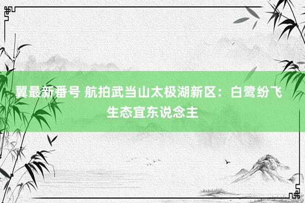 翼最新番号 航拍武当山太极湖新区:白鹭纷飞 生态宜东说念主