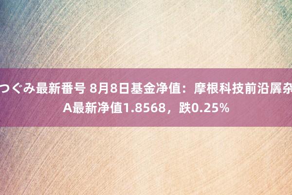 つぐみ最新番号 8月8日基金净值:摩根科技前沿羼杂A最新净值1.8568,跌0.25%