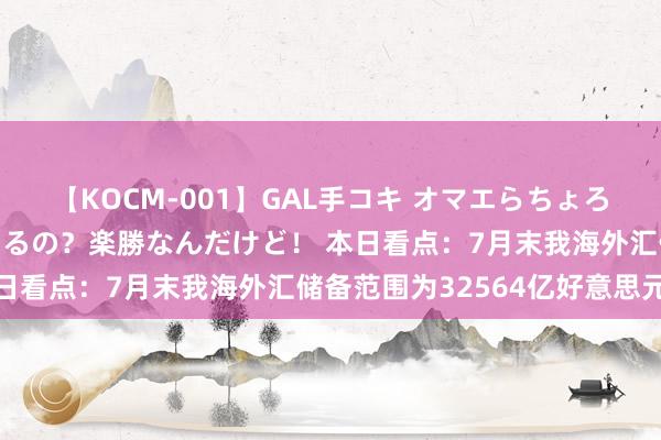 【KOCM-001】GAL手コキ オマエらちょろいね!こんなんでイッてるの?楽勝なんだけど! 本日看点:7月末我海外汇储备范围为32564亿好意思元