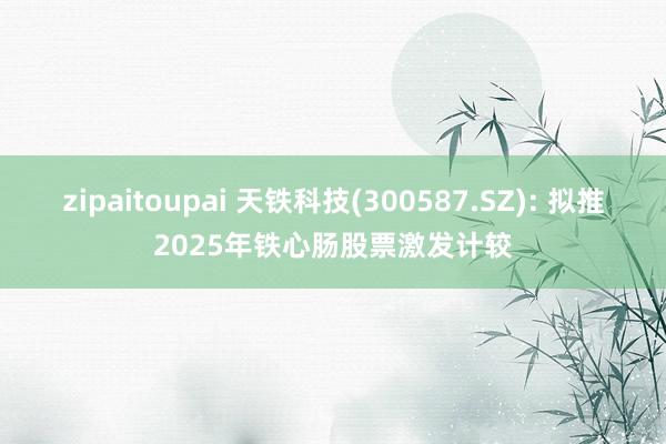 zipaitoupai 天铁科技(300587.SZ): 拟推2025年铁心肠股票激发计较