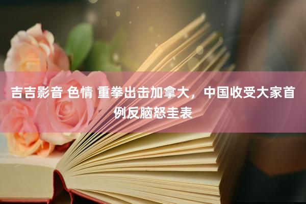 吉吉影音 色情 重拳出击加拿大，中国收受大家首例反脑怒圭表